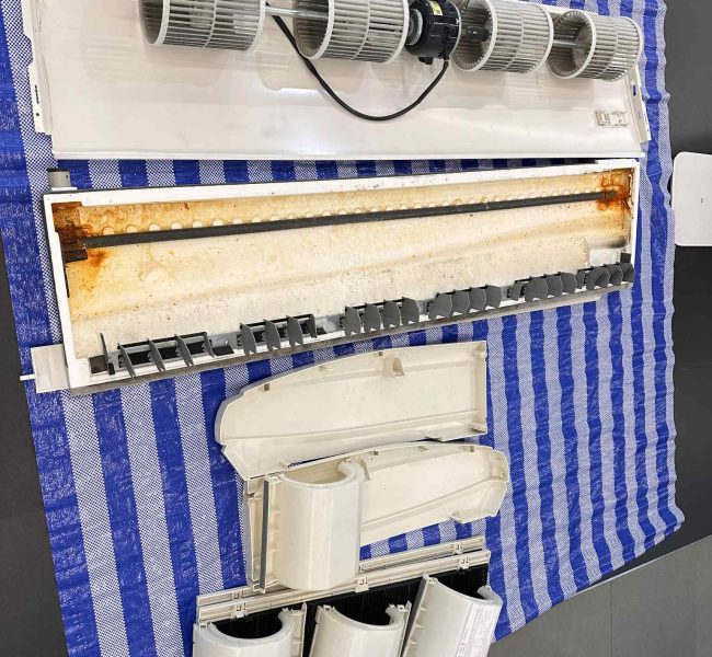 4151ece5 e1ef 4f4d 9813 cafdae6d0138 (1)