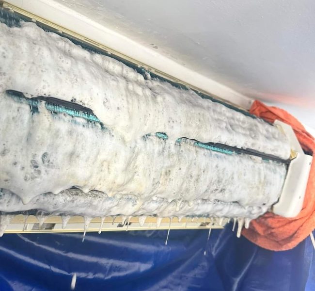 480654806 122208694820209358 3941957585512972910 n