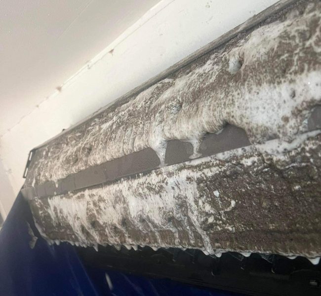 484674455 1104050651746312 2292037843851295438 n