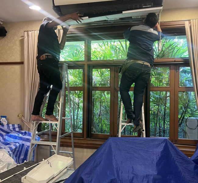 487294574 1114548277363216 2019217517754732737 n (1)