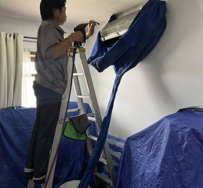 488885484 122220492200209358 2163735799572834217 n (1)