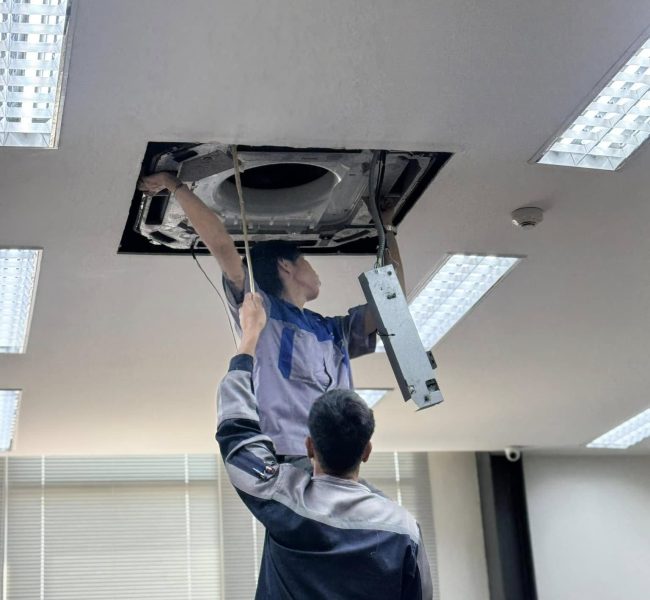 490197110 122223254594209358 3965123787255553547 n