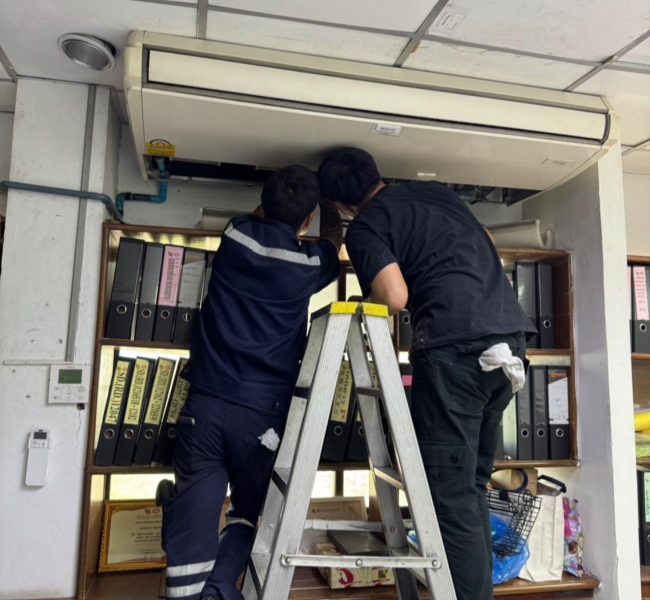 492344138 122225126366209358 8598093585082787374 n