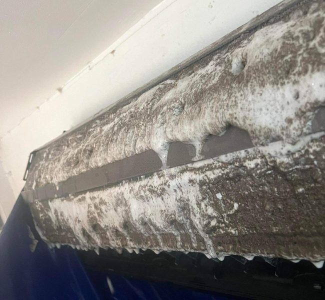 f68ef4b1 b444 4cb9 a76e 3231fab817ec